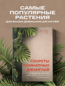 Секреты комнатных джунглей. О чем молчат растения и как понять, что им нужно на самом деле