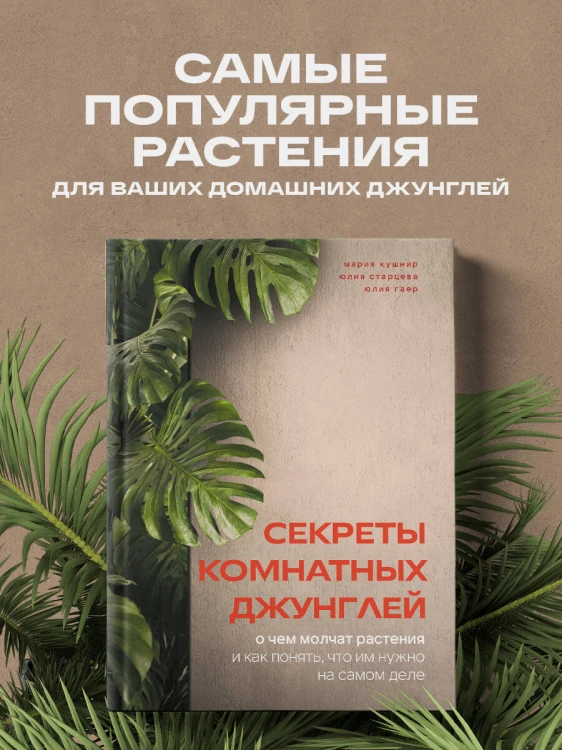 Секреты комнатных джунглей. О чем молчат растения и как понять, что им нужно на самом деле