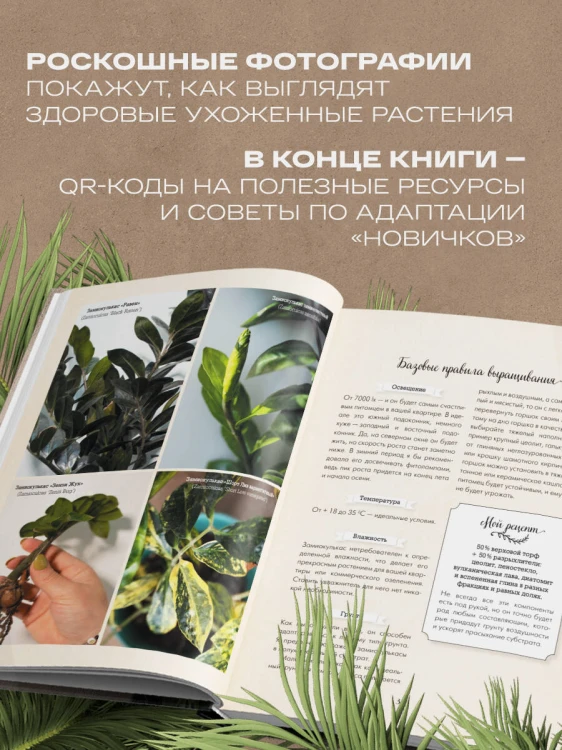Секреты комнатных джунглей. О чем молчат растения и как понять, что им нужно на самом деле