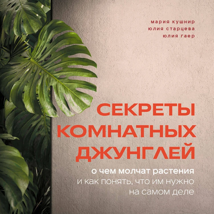 Секреты комнатных джунглей. О чем молчат растения и как понять, что им нужно на самом деле