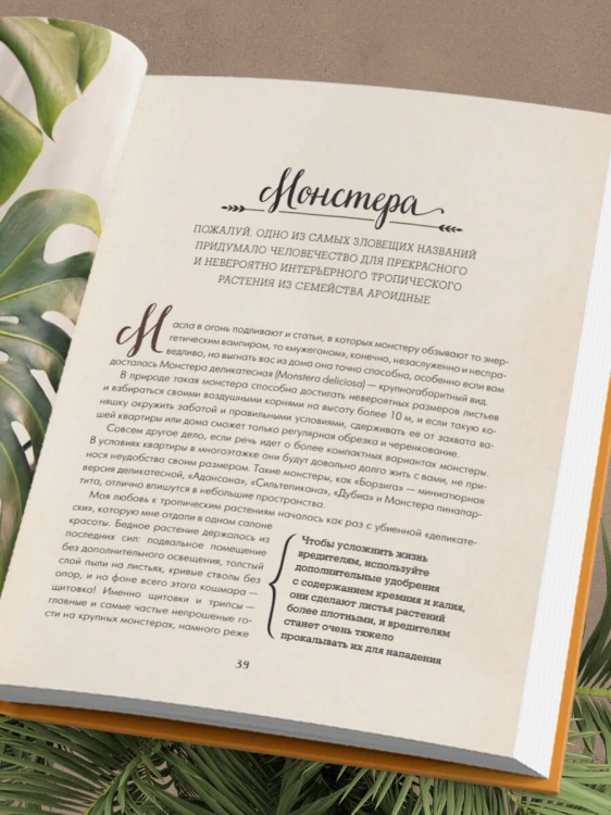 Секреты комнатных джунглей. О чем молчат растения и как понять, что им нужно на самом деле