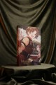 Повелитель тайн. Книга 4