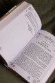 Повелитель тайн. Книга 4