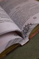 Повелитель тайн. Книга 4