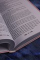 Однажды я стала принцессой. Книга 3 (новелла)