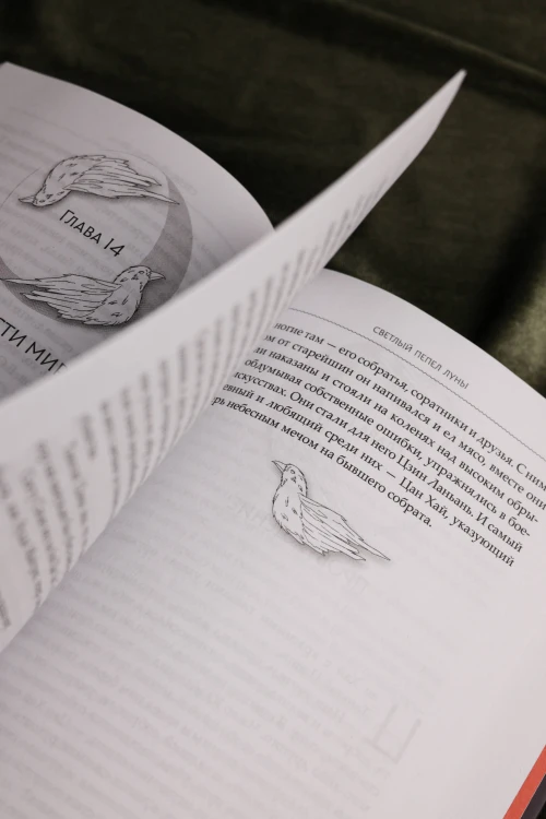 Светлый пепел луны. Книга 4
