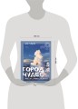 Город чудес. Мир, где сбываются мечты. Артбук