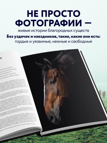Лошади. Портреты, вдохновленные Рембрандтом. Эксклюзивный фотоальбом