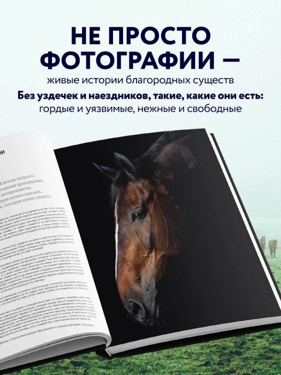 Лошади. Портреты, вдохновленные Рембрандтом. Эксклюзивный фотоальбом
