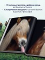 Лошади. Портреты, вдохновленные Рембрандтом. Эксклюзивный фотоальбом