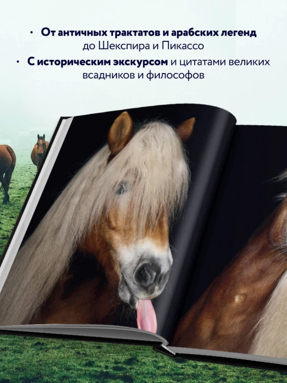 Лошади. Портреты, вдохновленные Рембрандтом. Эксклюзивный фотоальбом