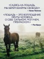 Лошади. Портреты, вдохновленные Рембрандтом. Эксклюзивный фотоальбом