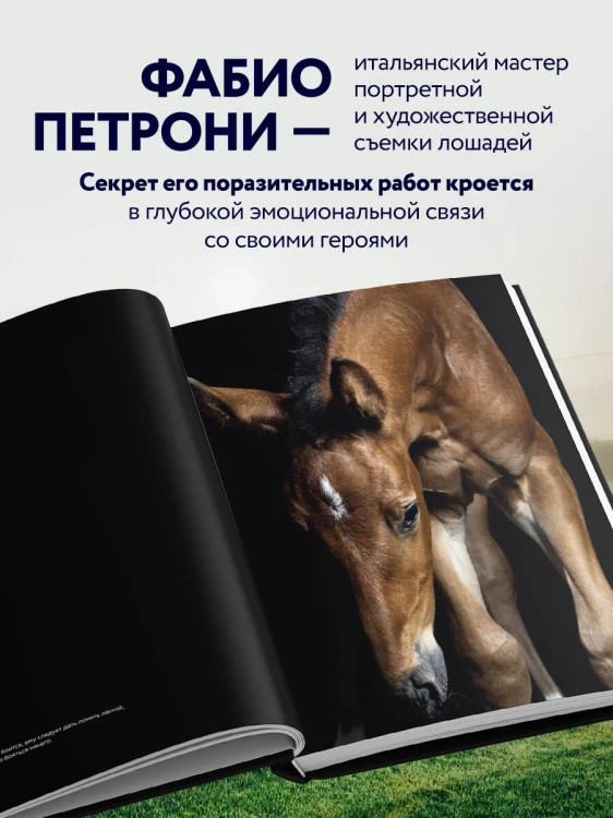 Лошади. Портреты, вдохновленные Рембрандтом. Эксклюзивный фотоальбом