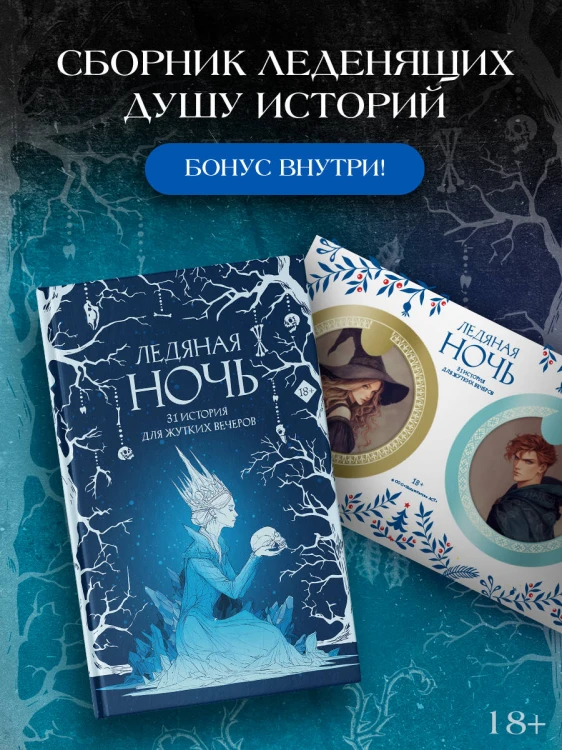 Ледяная ночь. 31 история для жутких вечеров