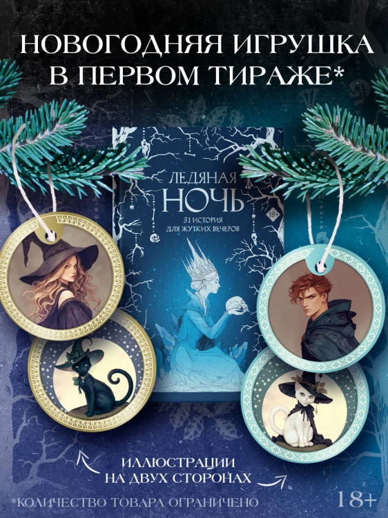 Ледяная ночь. 31 история для жутких вечеров