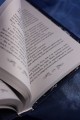 Ледяная ночь. 31 история для жутких вечеров
