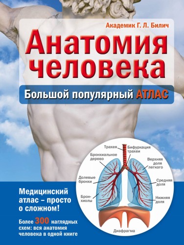 Анатомия человека: большой популярный атлас