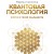 Квантовая психология: ключи к твоей реальности