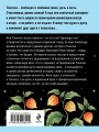 Пояс Ориона