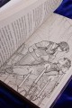 Побеждая смерть. Livor Mortis