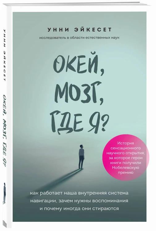 Окей, мозг, где я? Как работает наша внутренняя система навигации, зачем нужны воспоминания и почему иногда они стираются