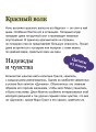 Дети капитана Гранта. Том 1. Вечные истории. Young Adult
