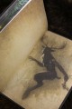 Косиног: История о колдовстве