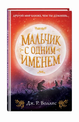 Мальчик с одним именем (#1)