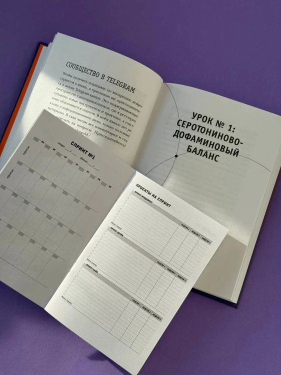 Просто космос. Нейроспринт. Как за 30 часов в месяц трансформировать свой мозг и жизнь + Просто космос. Мини-ежедневник