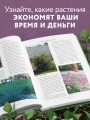 Секреты малоуходного сада. Как создать дизайн участка с неприхотливыми декоративными растениями