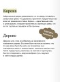 Лайтларк. Ночной палач
