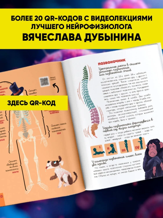 Человек. Исследуем тело и мозг человека
