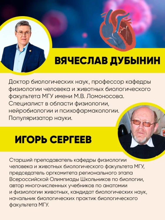 Человек. Исследуем тело и мозг человека