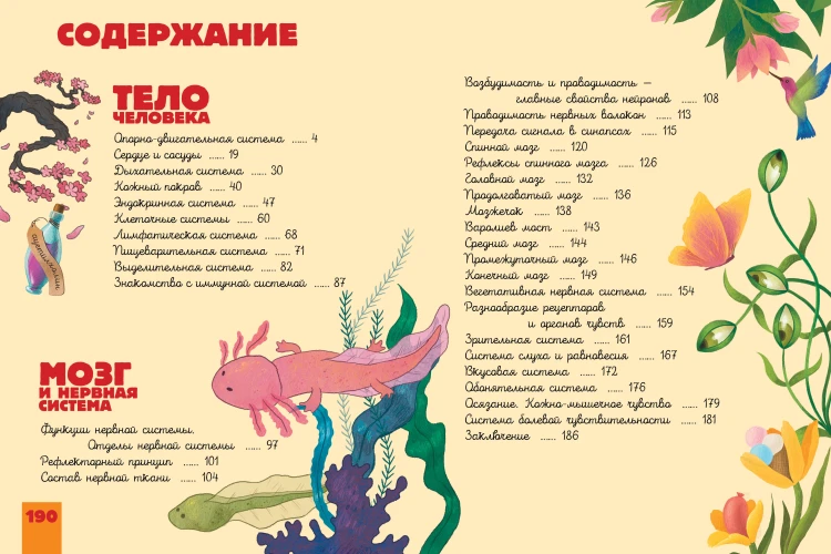 Человек. Исследуем тело и мозг человека