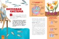 Человек. Исследуем тело и мозг человека