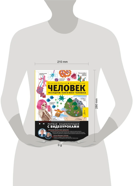 Человек. Исследуем тело и мозг человека