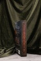 Пересмешник на рассвете. Книга 2