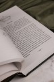 Пересмешник на рассвете. Книга 2