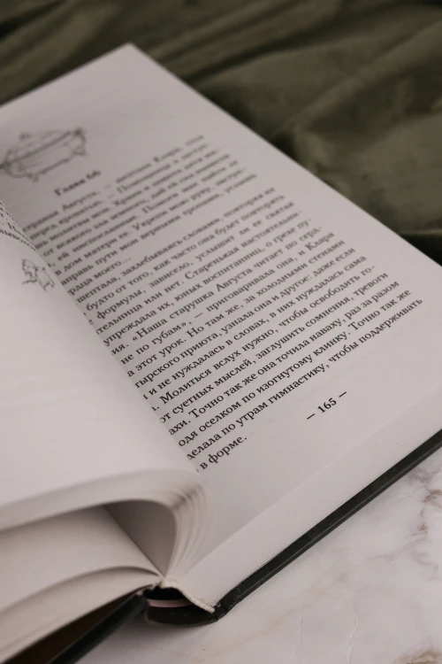 Пересмешник на рассвете. Книга 2