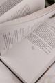 Пересмешник на рассвете. Книга 2