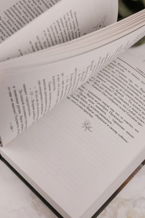 Пересмешник на рассвете. Книга 2