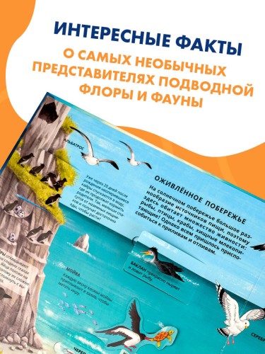 Все тайны подводного мира