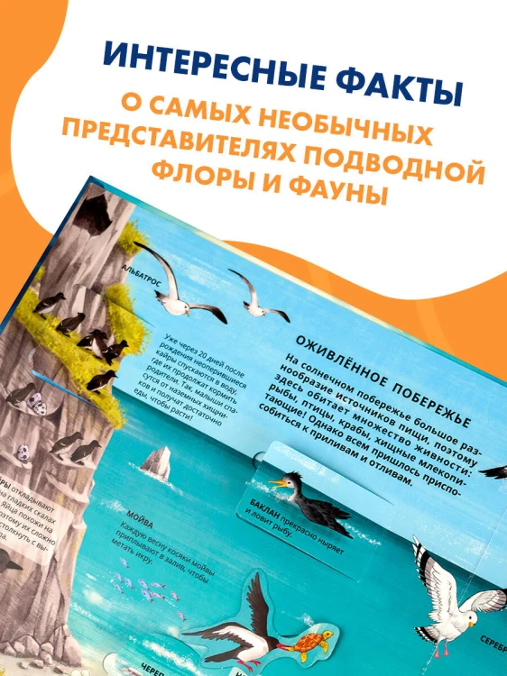Все тайны подводного мира