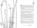 Цветы пиона на снегу. Том 5.