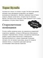 Миргород. Вечные истории