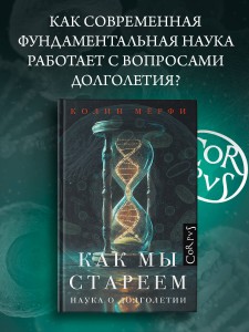 Как мы стареем