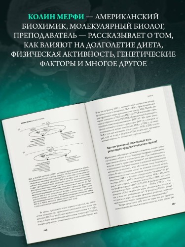 Как мы стареем
