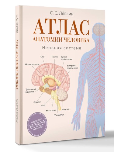 Атлас анатомии человека. Нервная система
