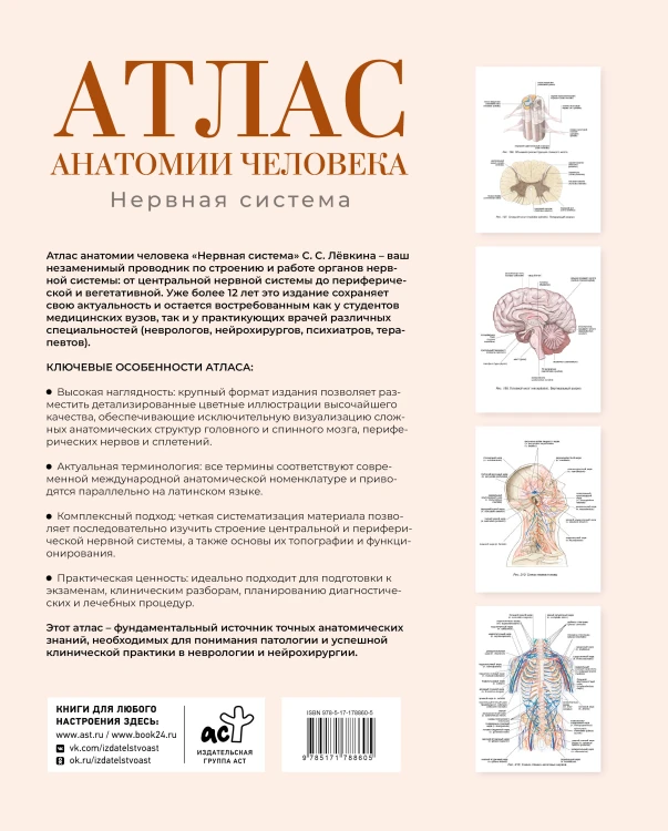 Атлас анатомии человека. Нервная система
