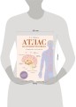 Атлас анатомии человека. Нервная система